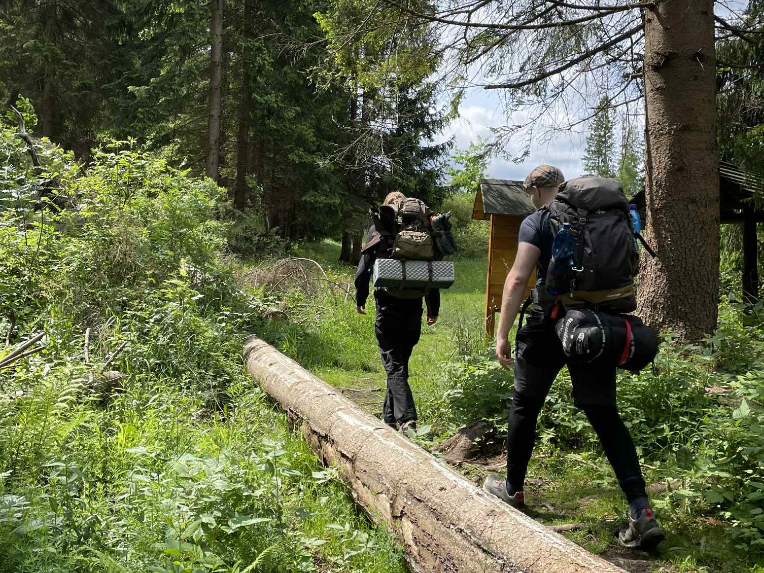 ab22a780-140e-4d68-9a92-d399afdb19db